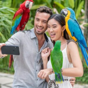 bali bird park ticket