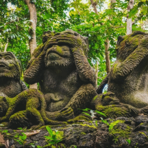 sacred monkey forest ubud