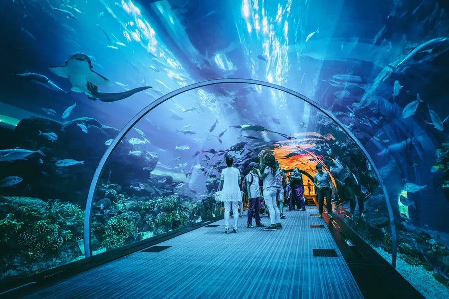 aquaria klcc ticket aquaria klcc ticket