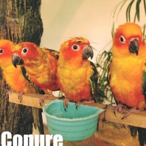 kl bird park admission ticket with one way transfer