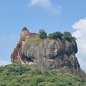 kandy sigiriya, dambulla,minneriya national park day tour kandy sigiriya, dambulla,minneriya national park day tour