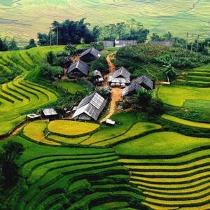 Sapa