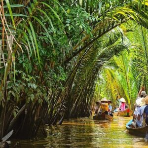 mekong delta day tour from ho chi minh with luxury limousine options