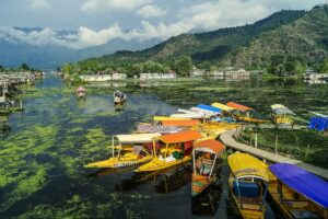 srinagar 1